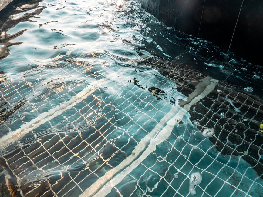 Pool Cleaning