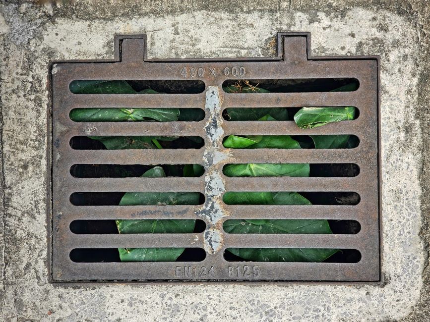 Drain Cleaning