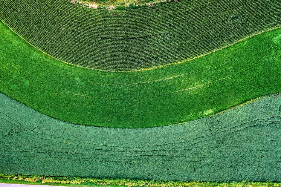 empresa topografía