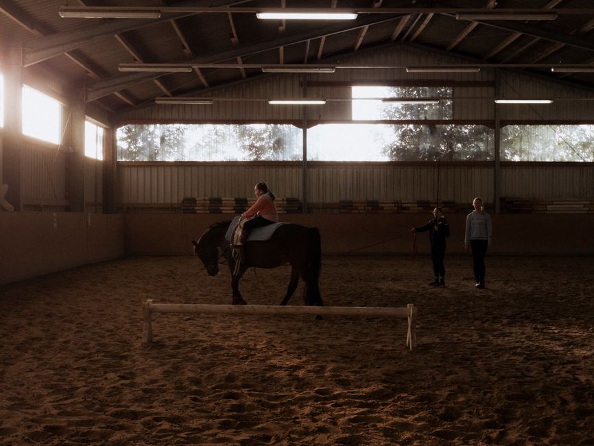 horse riding lessons